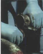 8005 Nitrile Gloves
